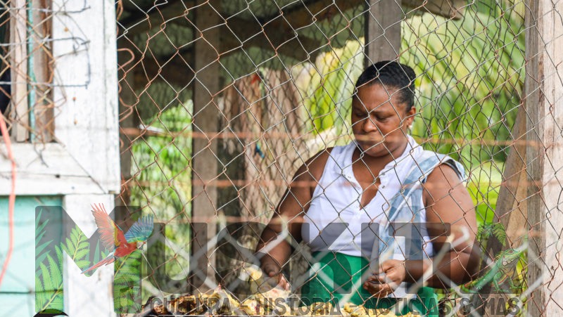 Rodolfina Harris, una madre soltera que labora siete días a la semana en la elaboración y venta de alimentos para poder sufragar el gasto médico de su hija que padece de una enfermedad cardíaca. Rodolfina viaja constantemente a Tegucigalpa, gastando sólo en transporte un mínimo de 6,000 lempiras ( 240 dólares) por cada viaje.